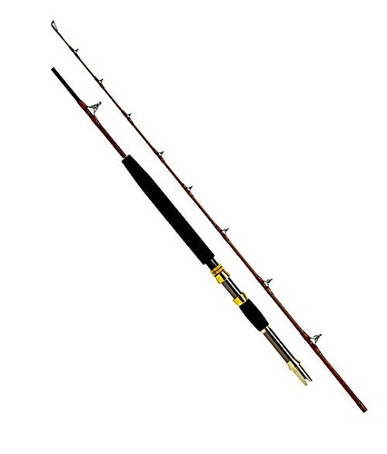Wft north ltc 10m - north, ltc,