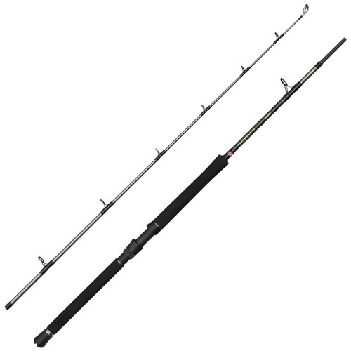Penn regiment boat rod - boat,